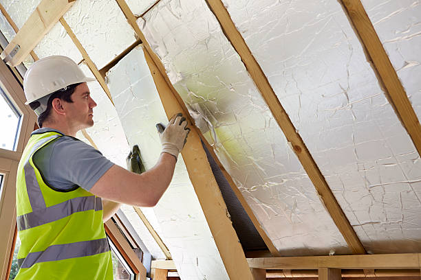 Best Eco-Friendly Insulation in Highland Heights, OH